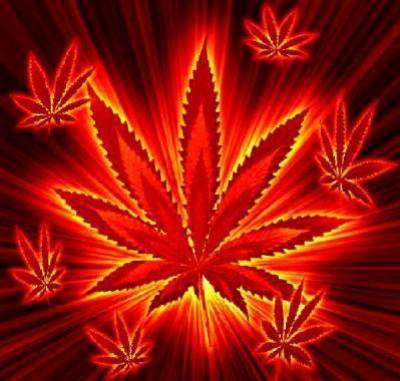 une belle feuille